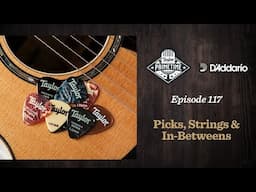 Picks, Strings, and In-betweens | Taylor Primetime 117