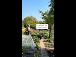 A moment in the veg patch at Perch Hill