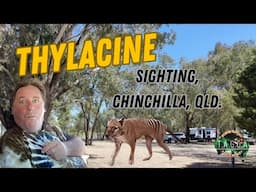 Thylacine sighting, Chinchilla Queensland with Yvonne mid 1990's.