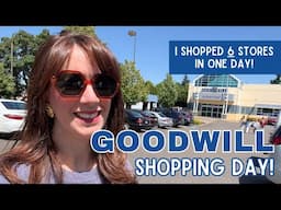 6 Goodwill Stores in ONE DAY! | Thrifting + Vintage Haul