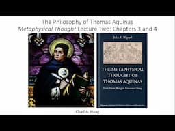 The Metaphysical Thought of Thomas Aquinas Lecture Two The One and Many and Participation