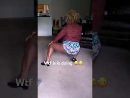 This lady love to dance, but can’t dance for nothing in  the world. I want to know what is it doing?