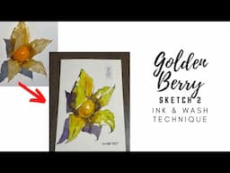 Golden Berry | Sketch 2 | 2025 Ep8