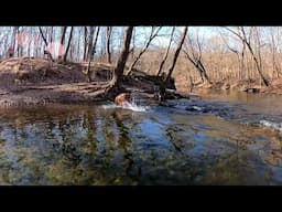Patapsco - 30 miles