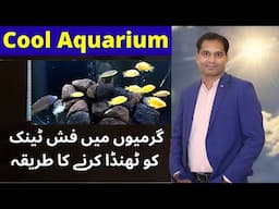 Cool Aquarium Water in Summer | Reduce Fish Tank Temperature | umair saeed | Urdu