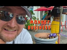 I HAD A BEER WITH A MONKEY IN SAN JUAN PUEROTO RICO |tiny house, homesteading, off-grid, cabin build