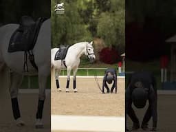 Give Your Riding a Boost!