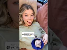 NO I DID NOT NAME MY CAT GIRLYPOP