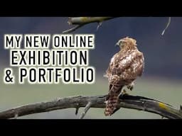 My Online Exhibition is LIVE! Learn to Use Pic-Time as a Photography Gallery and Portfolio