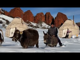 Hard winter - 40°C | Life in the snowy mountains far from civilization