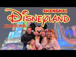 The Best Disney Fireworks Show - ILLUMINATE | Zootopia | Shanghai Disney | China Vlog