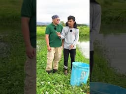 He learned about Tilading in the College of Fisheries' Immersion Program #shortvideo #shorts