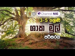 ශාක මුල් | 3 - 5 ශ්‍රේණි - (පරිසරය)