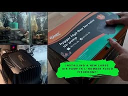 Hygger HG125 high flow air pump! Installing  in L-number pleco fishroom
