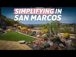 3.5 Year Succulent Maintenance in San Marcos