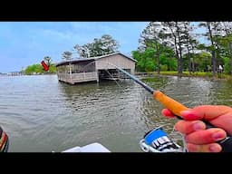 This is the BOAT DOCK Fish I Wanted!