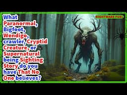 What paranormal, Bigfoot, Wendigo, cryptid or supernatural being have you seen that no one believes?