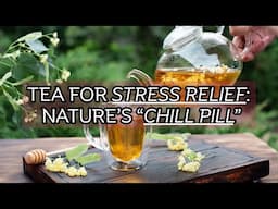 Lime Flower Tea Benefits + How to Make It / Earth's Medicine