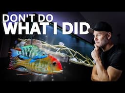 I killed my Fish Because I was STUPID