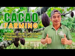 AMAZING CACAO FARMING: EXPERIENCE, GINAMIT SA PAGSISIMULA AT PAGREHABILITATE NG CACAO FARM SA BOHOL