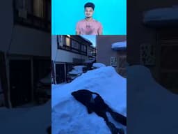 Instant Regret Moments 2025 Caught On Camera05 😝🎃 #lolwithatik  #funny #viral