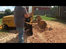Another Stump Grinding Job Left Half Done – I Finished It!