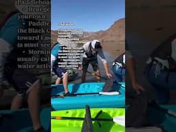 Willow Beach Arizona/Las Vegas Adventure #willowbeach #lasvegas #kayaking #adventures #vegaslocals