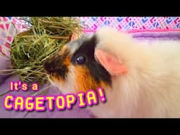 I've Never Seen Anything Like This! - Cagetopia