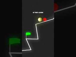 The journey #pickleball
