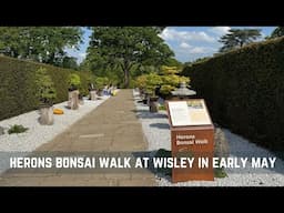 Herons Bonsai Walk at Wisley in Early May