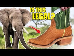 ($900) Why people are mad I cut Elephant cowboy boots in half? - Rios of Mercedes