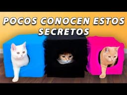 ¿Cómo Pude Vivir Sin Conocer Estos Trucos Para Gatos? 16 Ideas Increíbles