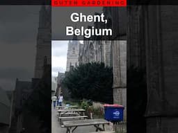 This Orangery in Ghent Belgium Has FIGS Inside!