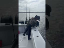 Crabs gotta eat too #fishwithbrit