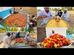Refreshing Peach Juice | 40 kg Aroo ka Juice bana diya Healthy Juice | Summer Special Drink