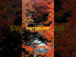 Why is Switzerland So Strange?
