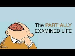 Partially Examined Life #364: Max Scheler on Sympathy (Part Three)