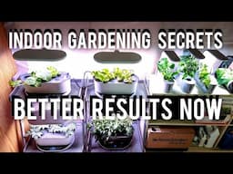 INDOOR GARDEN SECRETS - MY MUST KNOW TIPS