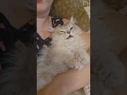 Crazy mode activated
