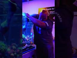 Join us April 26 & 27 for Reefapalooza Orlando