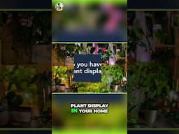 Plant Poll Results: Do YOU Have a Plant Display At Home?