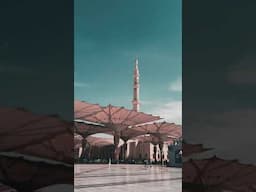 Ask Allah for Everything | He Loves to Hear You Pray #prayer #islamicshorts
