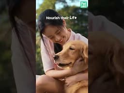 Nourish Their Play, Love, Life