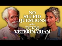No Stupid Questions - Traditional Chinese Veterinary Medicine Vet, Dr Langlois (Sponsored by YETI)