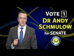 Andy Schmulow - NSW Senate - The game is rigged - 15s