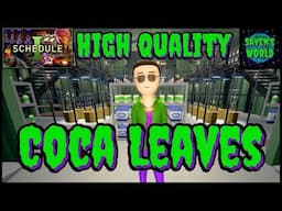 Best Grow Pot Setup - Coca Leaves - Schedule 1 - High Quality Leaves