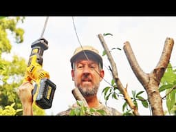 Extreme Tree Pruning in the Grocery Row Gardens (Grow a Little Fruit Tree Style)