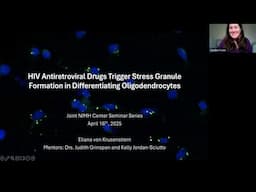 HIV Antiretroviral Drugs Trigger Stress Granule Formation in Differentiating Oligodendrocytes