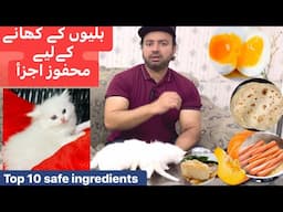 Must add these Top 10 safe cat food ingredients in cat feed | Urdu | Hindi