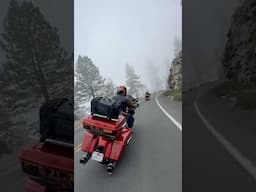 Riding along the foggy mountainside in Sequoia National Park! #roadtrip #harleydavidson #shorts